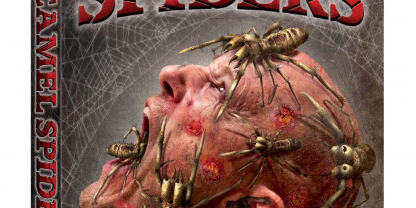 camel spiders