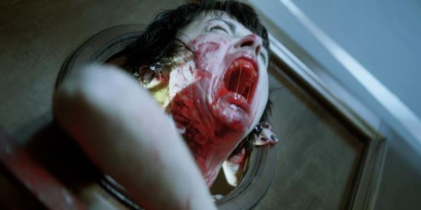 imagen-19