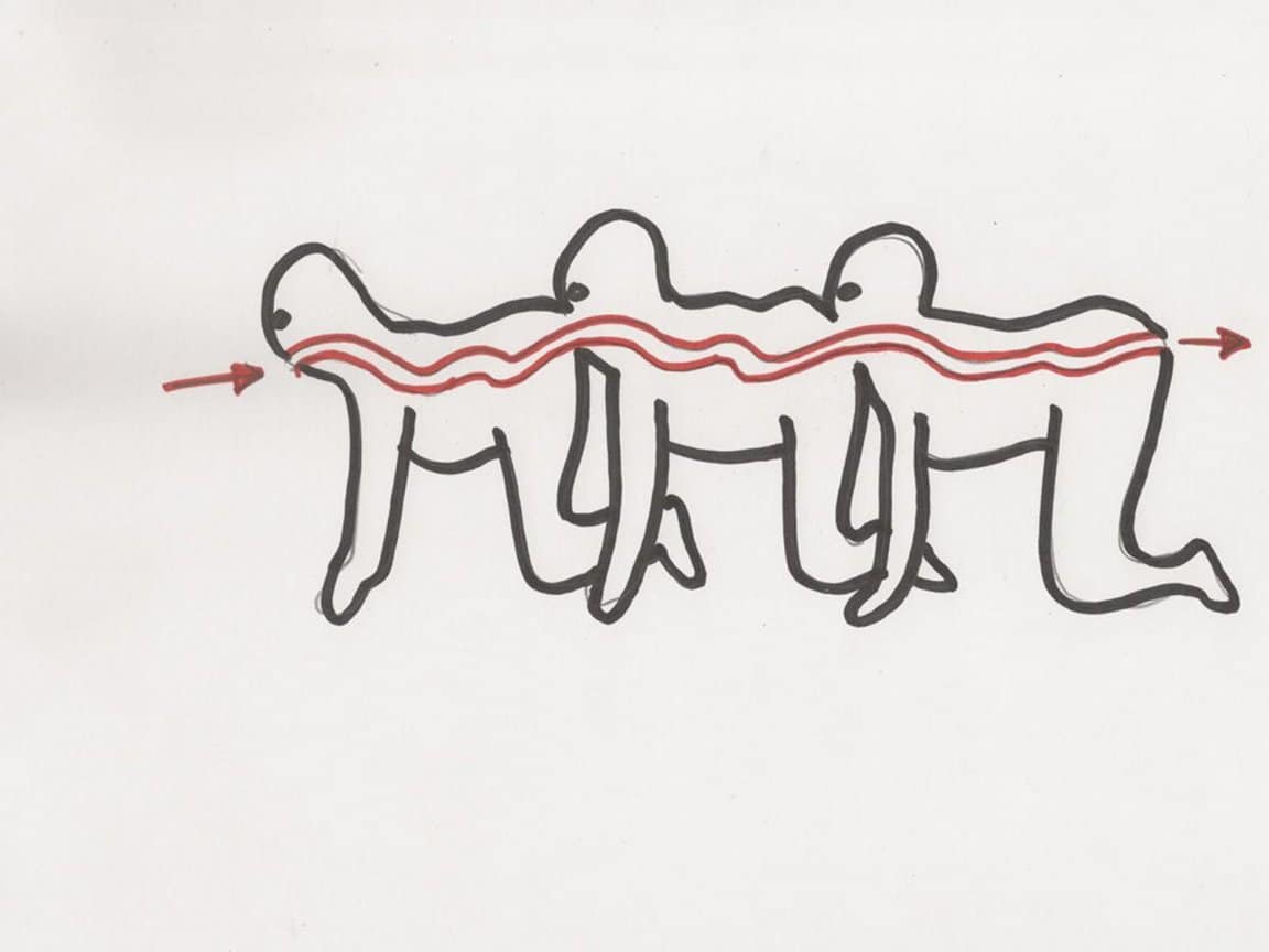 the-human-centipede-wallpaper_111317-1152x864.jpg